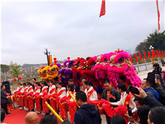 大型活动18